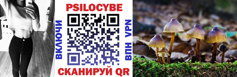 Псилоцибиновые грибы GOLDEN TEACHER купить наркотики цена Велиж